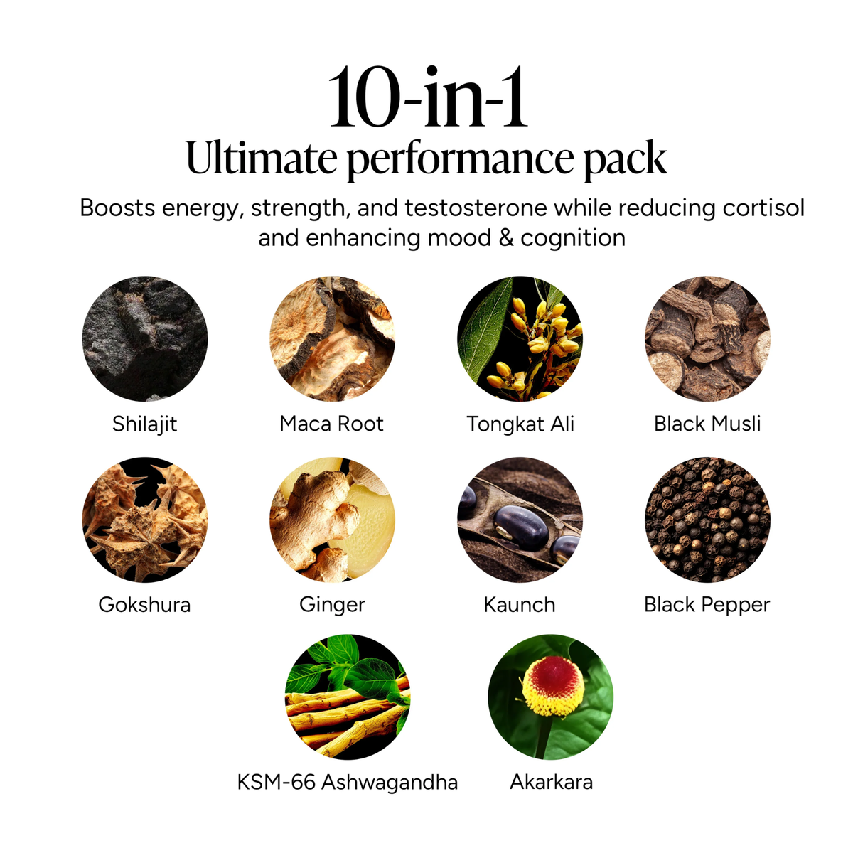 Alpha Gummies 10 in 1 Shilajit
